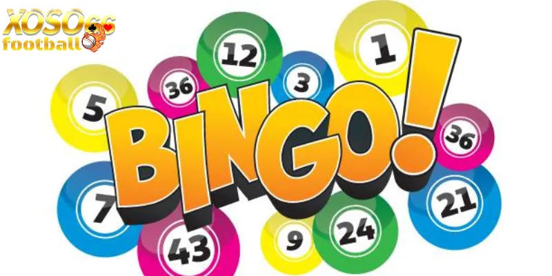 Cách chơi bingo chi tiết từ Xoso66 hướng dẫn từng bước